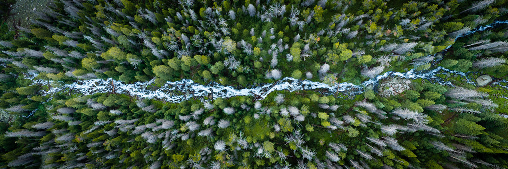 Chain Creek