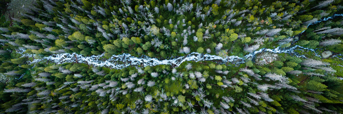 Chain Creek