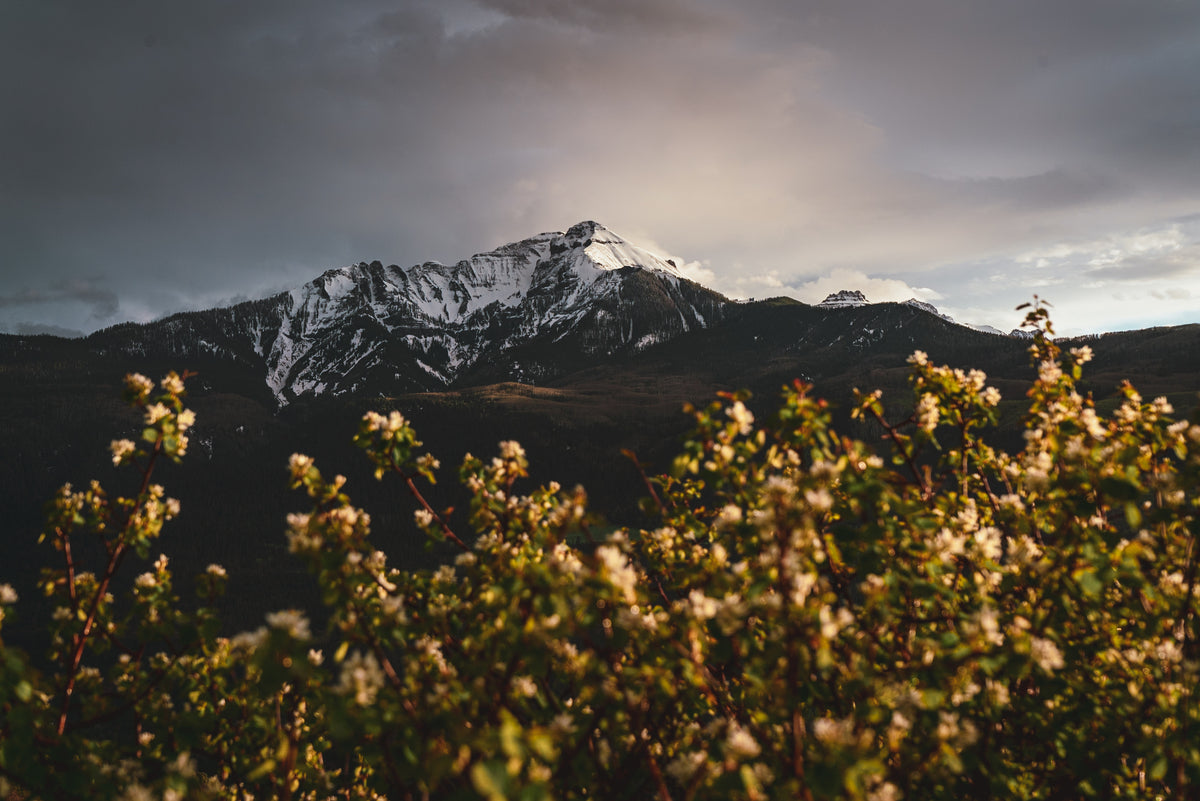 Mount Sneffels