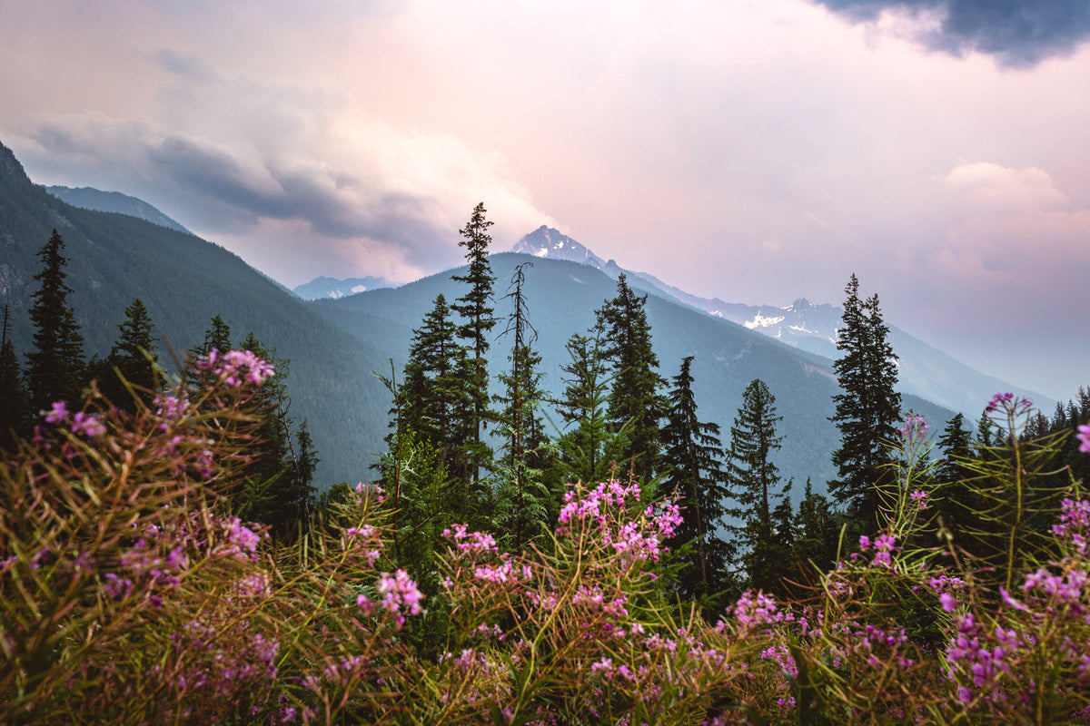 Albert Peak