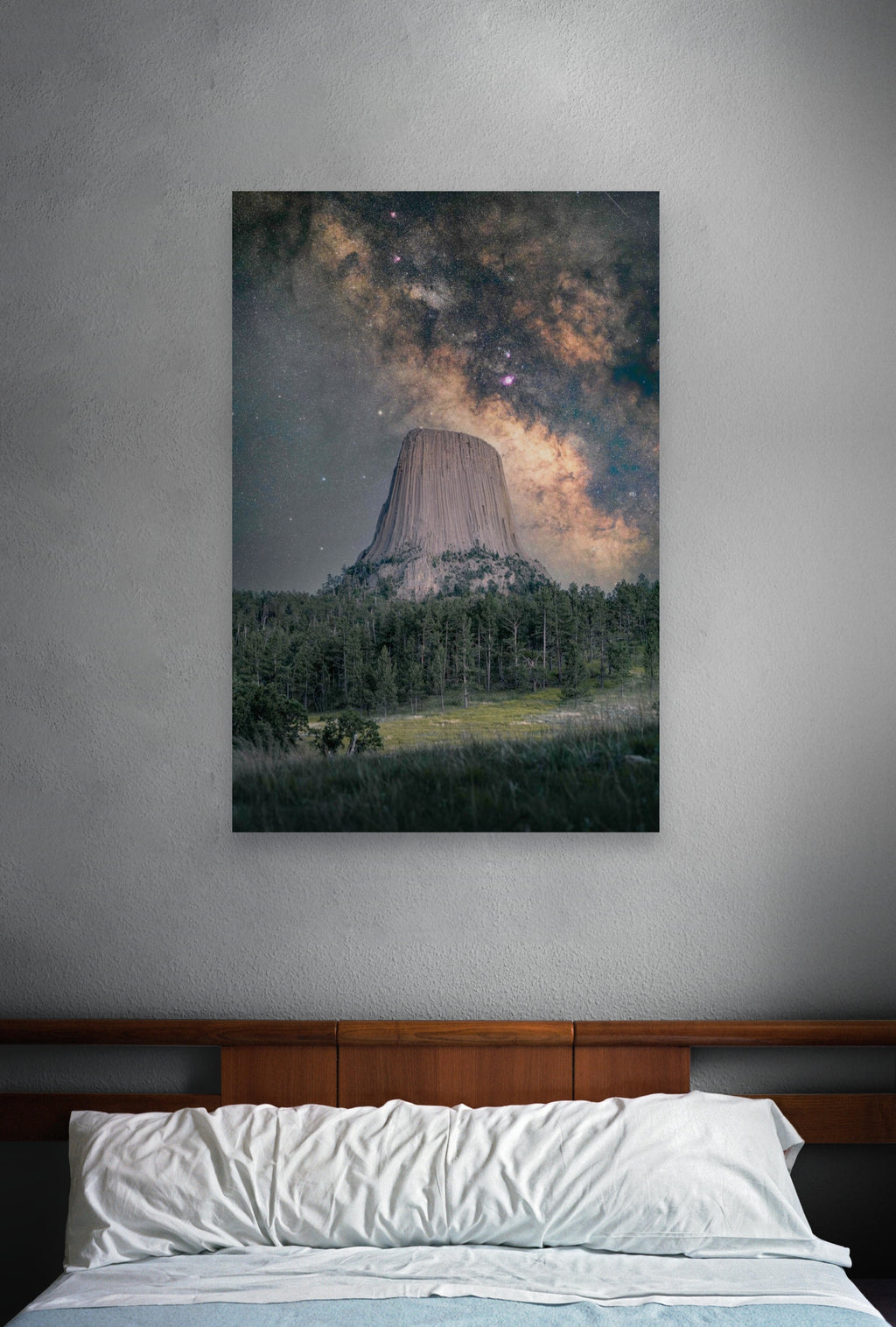 Devils Tower Milky Way